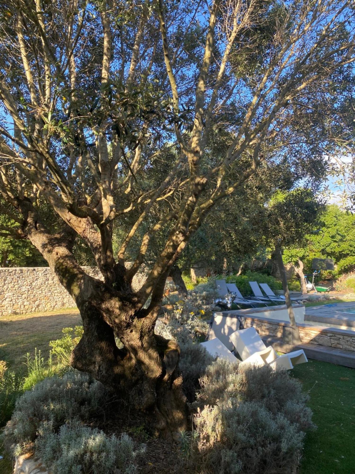 Casa Felicia Διαμέρισμα Bonifacio  Εξωτερικό φωτογραφία